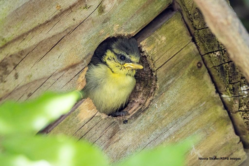 📷 May Cover Photo Competition ☀️ Spring is definitely here! 😃 Post a favourite wildlife or spring landscape photo below that you have taken this season to help us celebrate the joy that it brings. Last date to post 👉 Tuesday 30 April. We'll announce the winner shortly after!