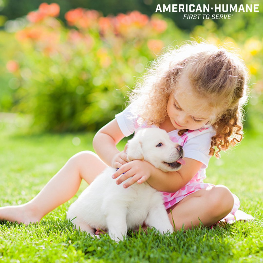 Today is #NationalKidsandPetsDay! This day serves as a reminder to address important safety concerns between kids and animals. Check out this article to learn about measures you can take to ensure the health and well-being of your little ones. bit.ly/3vZdhBW.