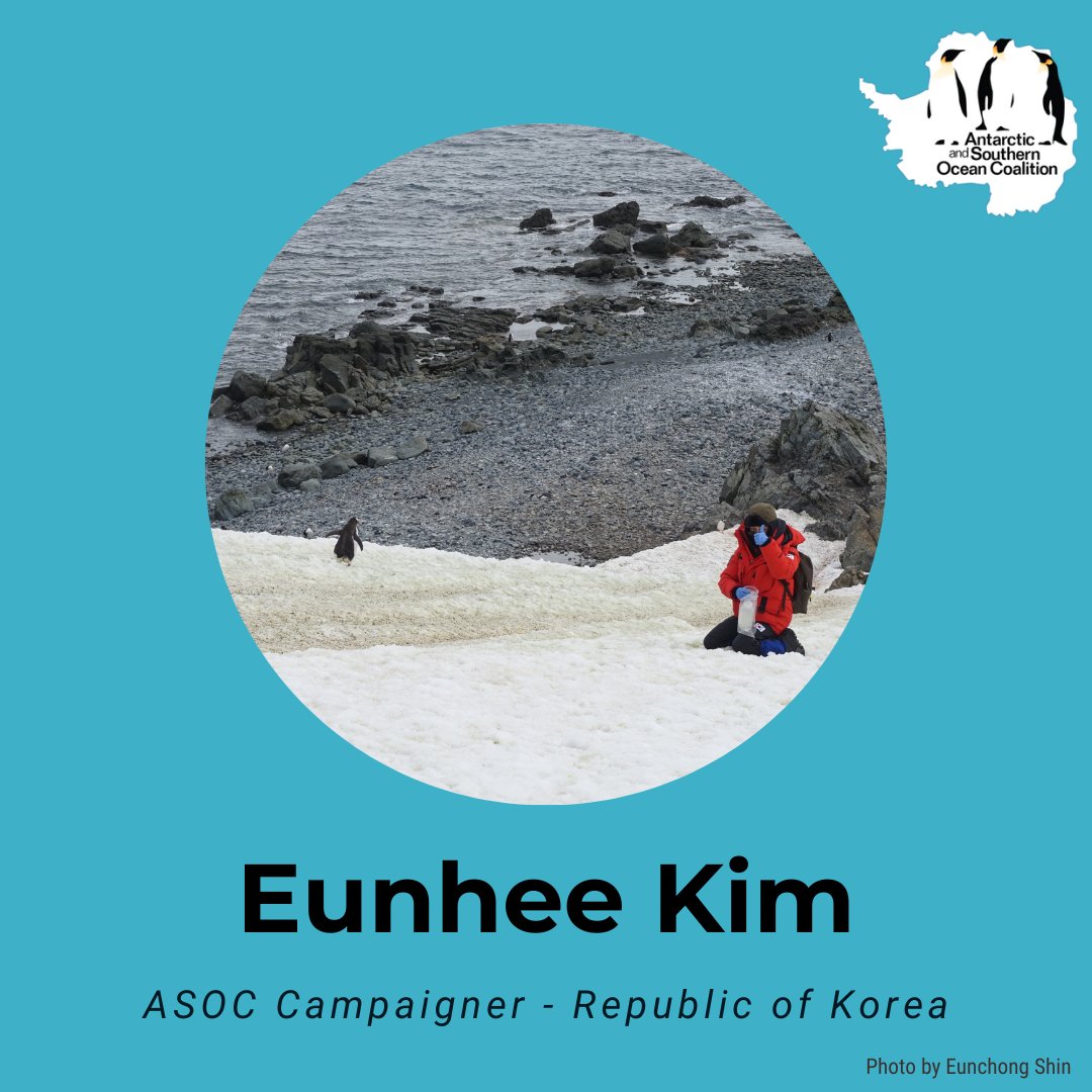 #FridayFeature Eunhee is an ASOC Campaigner who has been working on Southern Ocean MPAs in the Republic of Korea since 2014. With a background in academia, Eunhee understands the intersection between advocacy and scientific research in achieving effective conservation outcomes.