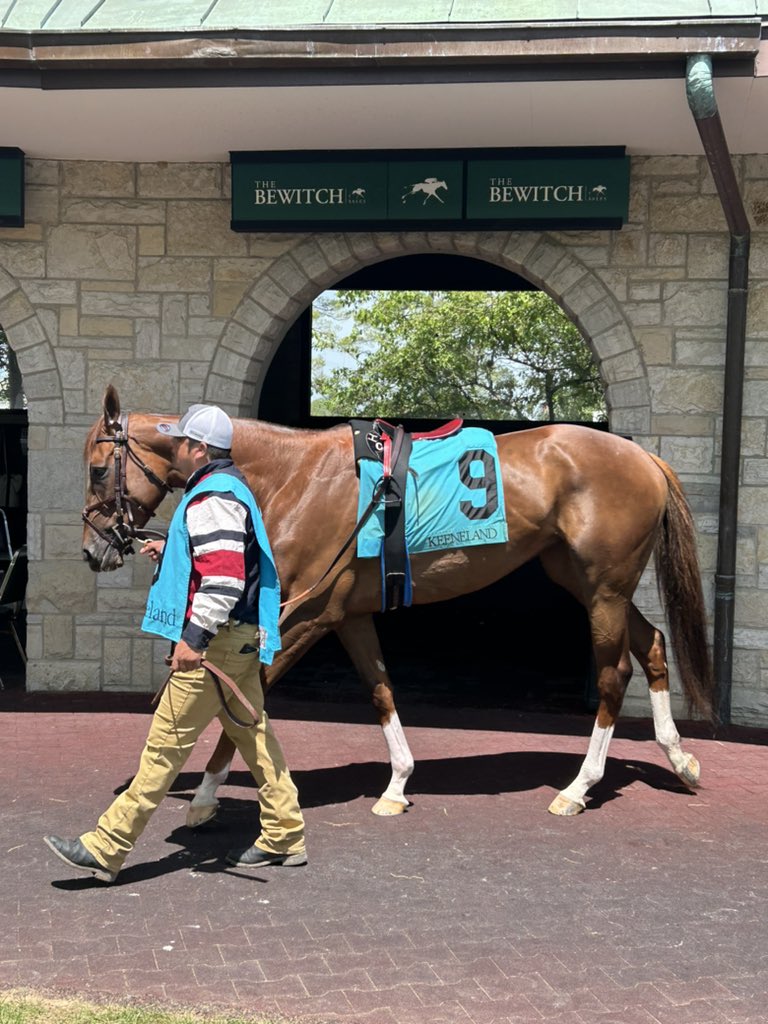 EXCELLENT QUESTION is up next @keenelandracing in Race 3! @iradortiz has the mount for @brenpwalsh. #comerunwithus