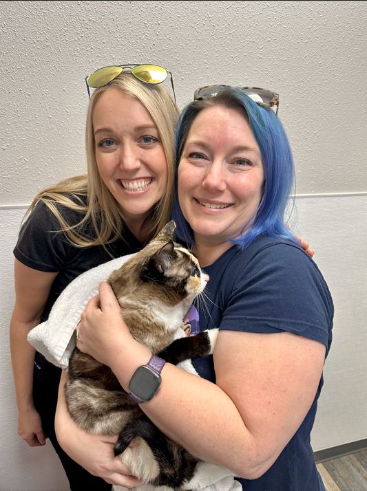 In the US state of Utah, a family sent a package without noticing that a cat had jumped into the box. The animal was there for 6 days. The cat, named Galena, lost a little weight and was dehydrated, but overall its condition was satisfactory. - KSL News