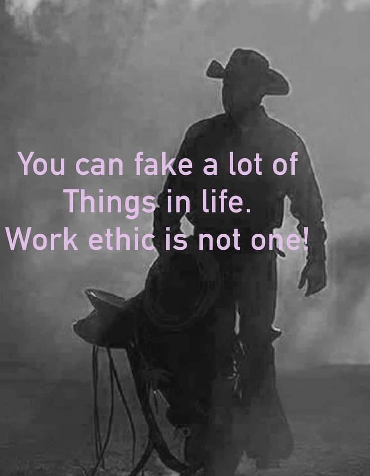 Truth! No one has ever asked me in 30 years in business what my GPA or SAT scores were. They have, however, asked me to do the work they paid me to do. And the neat thing is, when you do the work, more and better paid work keeps coming!