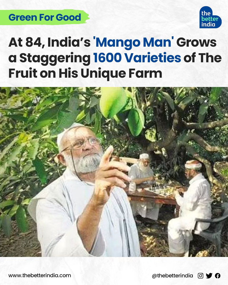 thebetterindia's tweet image. Meet the 'Mango Man of India', Haji Kalimullah Khan, whose love for this juicy fruit earned him a Padma Shri!

#MangoMan #InnovationInAgriculture #mangoseason #mango #mangolover #SummerSeason #Summer2024 #PadmaShri #mangovarieties
