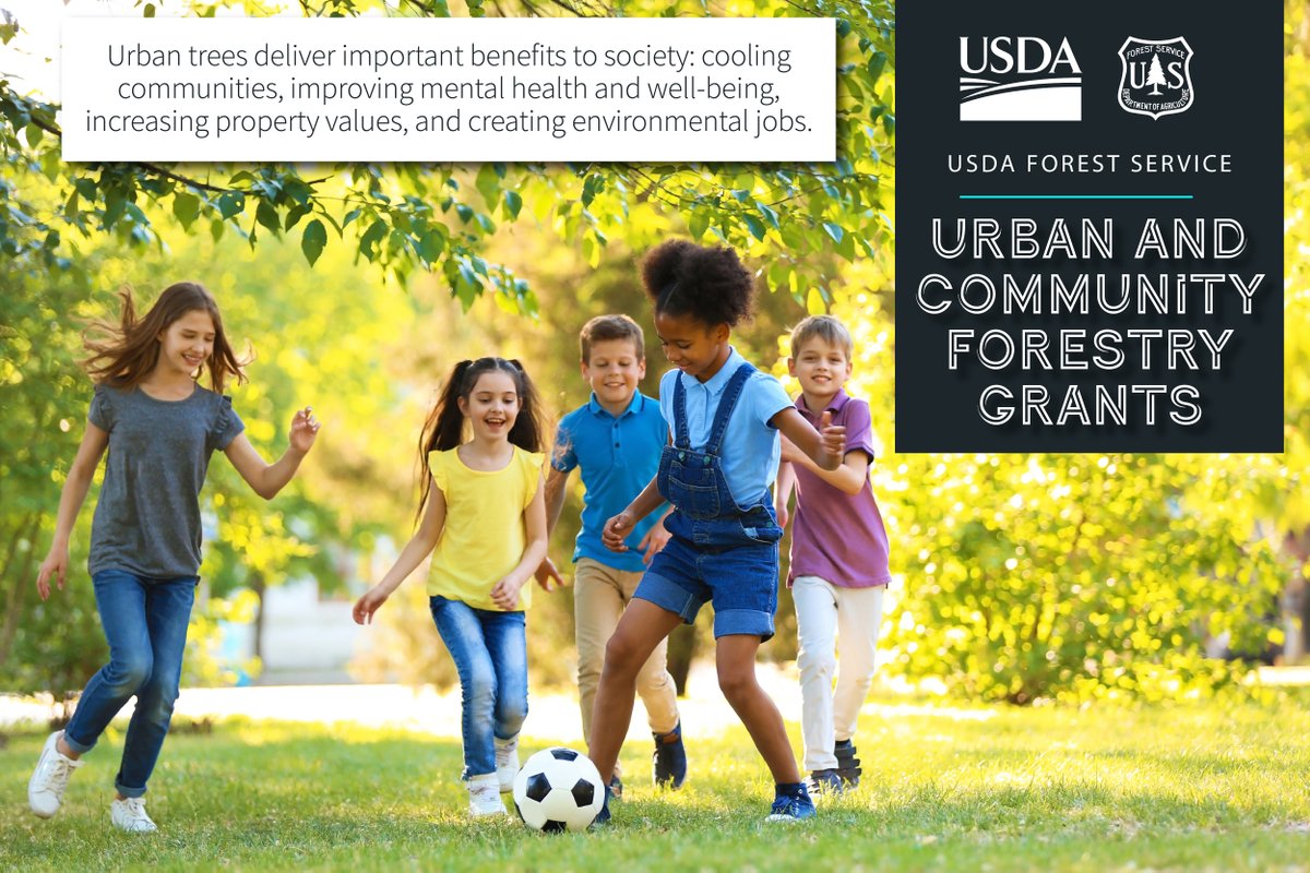 Fun fact for #ArborDay 🌳 🌳 🌳 Tree canopy cover can reduce temps by 11-19 degrees Fahrenheit🌡compared to communities with no tree cover. We celebrate #trees and proudly join other #FundingUrbanForestry programs in helping strengthen our #urbanforests.