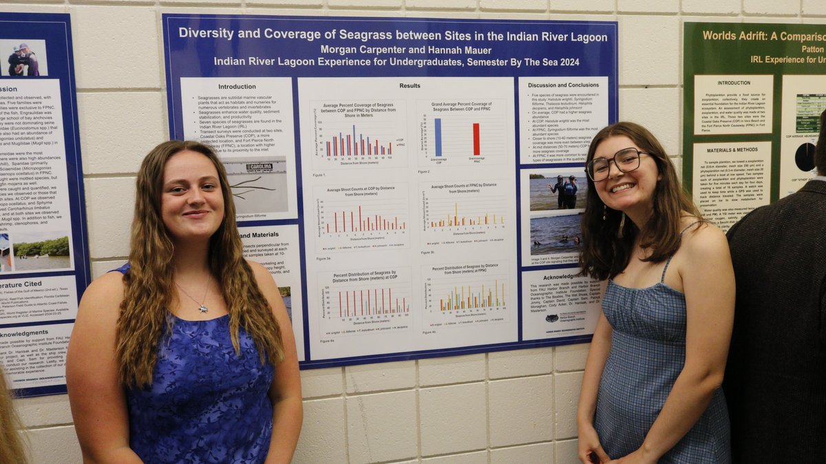 Semester by the Sea students who took part in the Indian River Lagoon Experience elective presented their field research studies earlier this week. Six students worked in pairs to compare species diversity between two locations in the #IndianRiverLagoon.