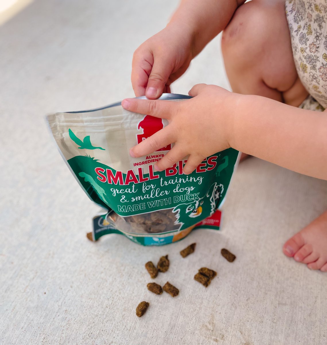 Dishing out (qu)acks to her furry friend. 🦆 

#smallbites #trainingtreats #lowcalorie #dogtreats #training #dogtraining #healthytreats #duck #ducktreats