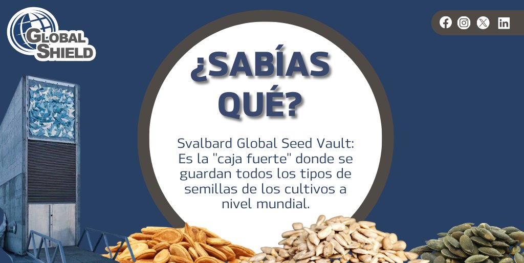 ¿Sabías que esta bóveda de semillas está construida a 130 metros dentro de una montaña?
globalshield.com.mx
Nuestras sucursales.
🌐Interlomas CDMX
🌐Andares, Guadalajara.
🌐Punto Sur, Jalisco
🌐Midtown Jalisco
🌐Marina Puerto Cancún.
#Globalshield #rentarcajadeseguridad.