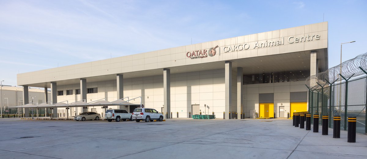 Half of you got it right. Qatar Airways says it transported more than 10,000 horses in 2023, or 28+ per day. The new facility includes: 140 dog kennels 40 cat kennels 24 horse stables Custom spaces designed for day-old-chicks, birds, fish, reptiles and exotic animals.