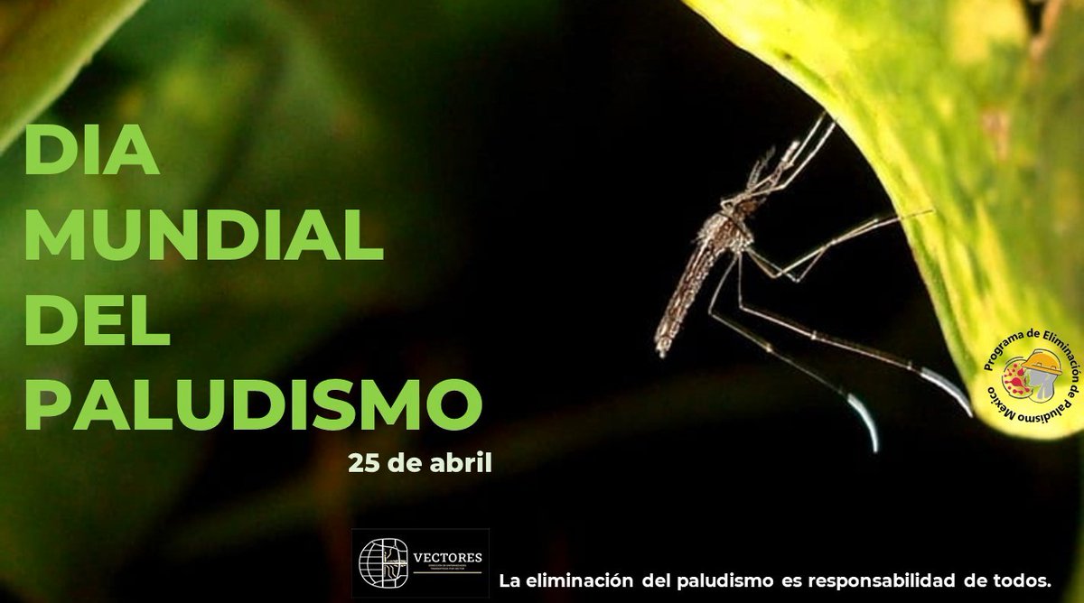 También conocido como #Malaria, es una enfermedad transmitida a los humanos por algunos tipos de mosquito, se registra sobre todo en climas tropicales. Es una enfermedad prevenible y curable. #Paludismo