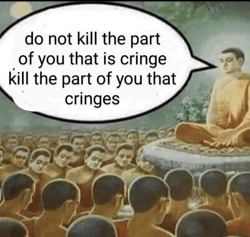 This Buddha meme that says, “Do not kill the part that you that is cringe, kill the parts of you that cringes,” is one of the most profound memes I’ve ever seen. It reminds me of how there can be healthy shame (connected to conscience) and toxic shame (a feeling that you are