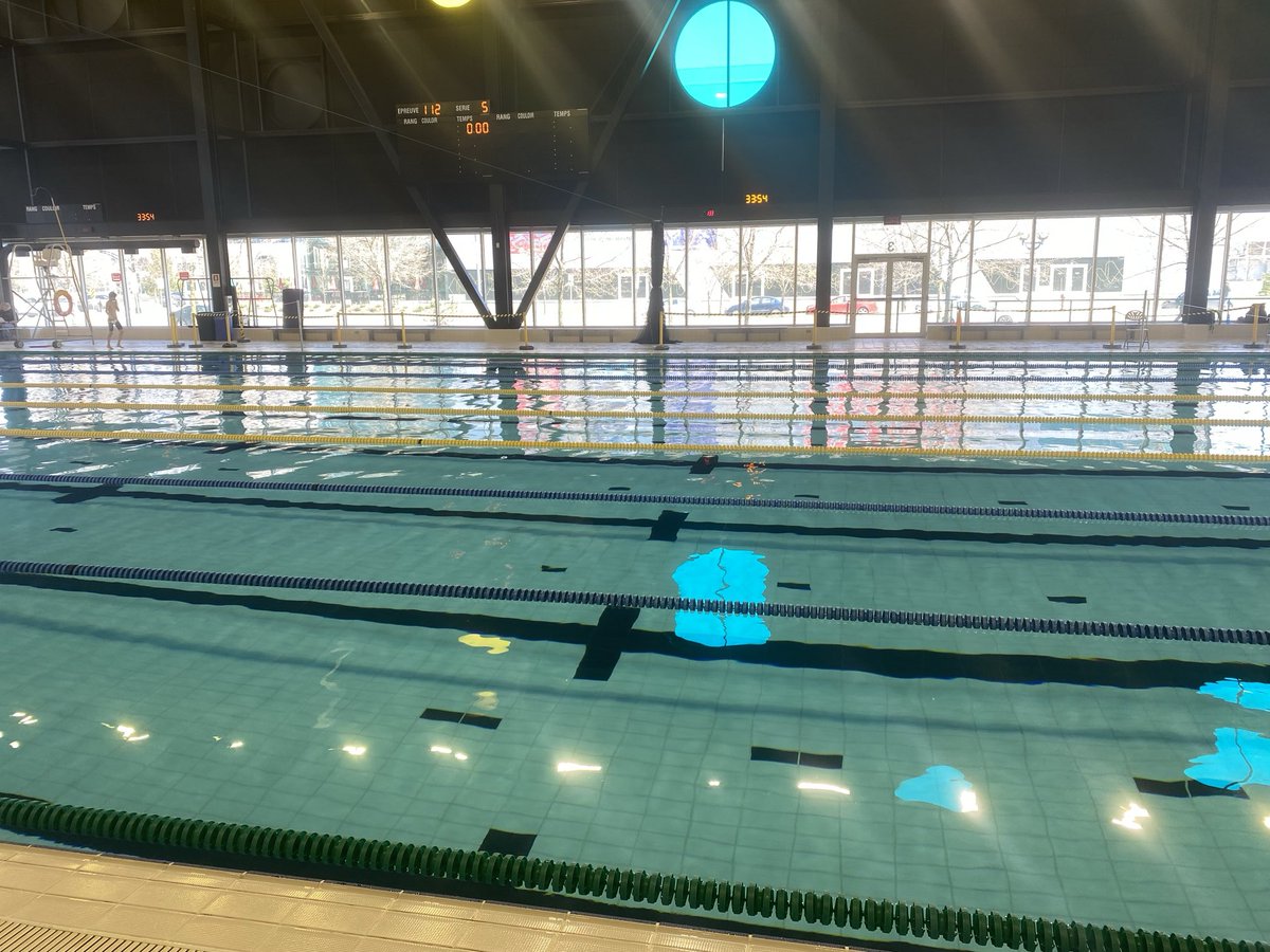 OYO Swim Club tweet media