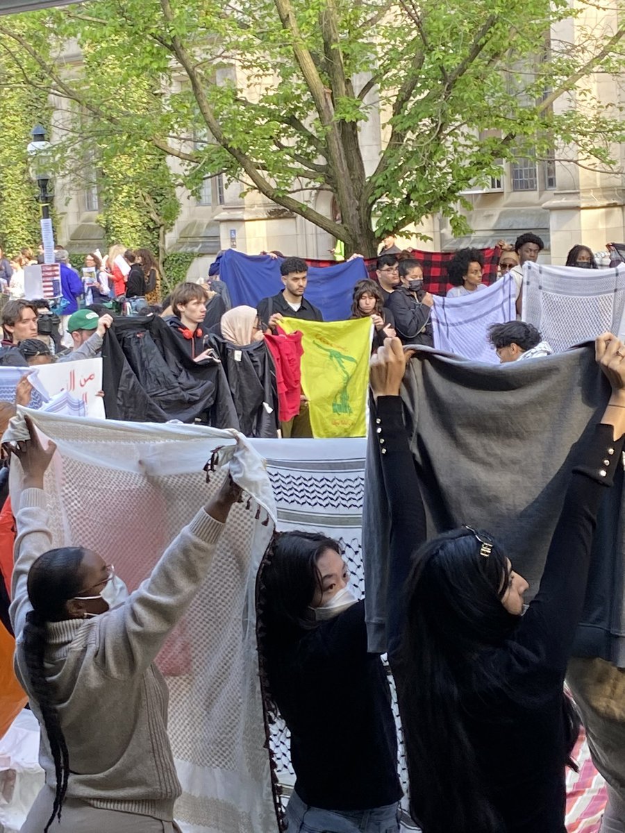 Elizabeth Tsurkov is a PhD researcher at Princeton. She was kidnapped over a year ago by Kataib Hezbollah in Iraq. Yesterday, the flag of the sister organization of her kidnappers was raised at the Princeton protests.