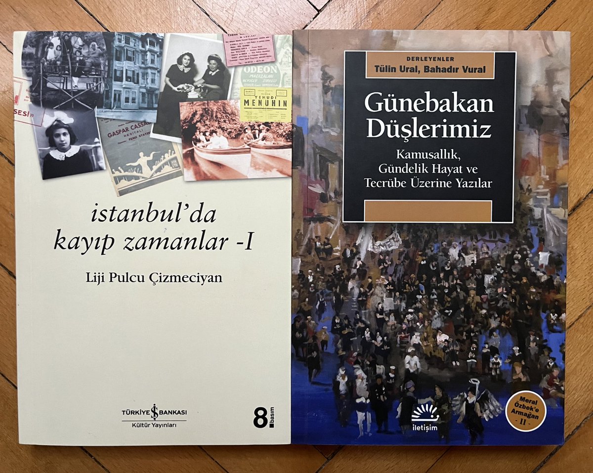 İstanbul’da Kayıp Zamanlar: kişisel hikayeler üzerinden şehir/kültür tarihi okumayı çok seviyorum. Uzun zamandır listemdeydi. Günebakan Düşlerimiz: Türkiye’de popüler kültür çalışmalarının öncülerinden Meral Özbek için “Meral Özbek’e Armağan” adıyla yayınlanan serinin 2. kitabı.