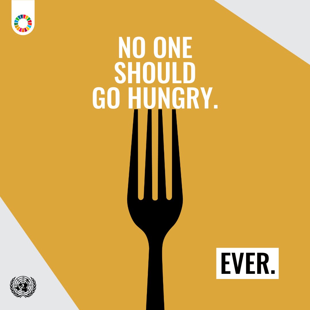 There is enough food in the world today to feed everyone. Yet, millions go to bed on an empty stomach every night. No one should go hungry. Ever. ➡️ Find out how you can help achieve the #GlobalGoals and a #ZeroHungerworld: un.org/actnow