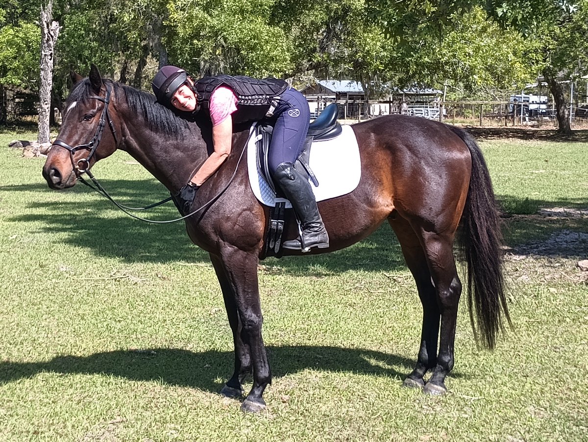 ☀️ #SuccessStorySunday - GOOD MISTAKE (Union Rags) was adopted for a second career in dressage &amp; eventing! "I LOVE Good Mistake. He is easy to manage &amp; handle. I cannot say enough good things about him. Thank you for the opportunity to have him!" <a href="/GallaghersStud/">Mallory Mort</a> @LindyFarmsCT