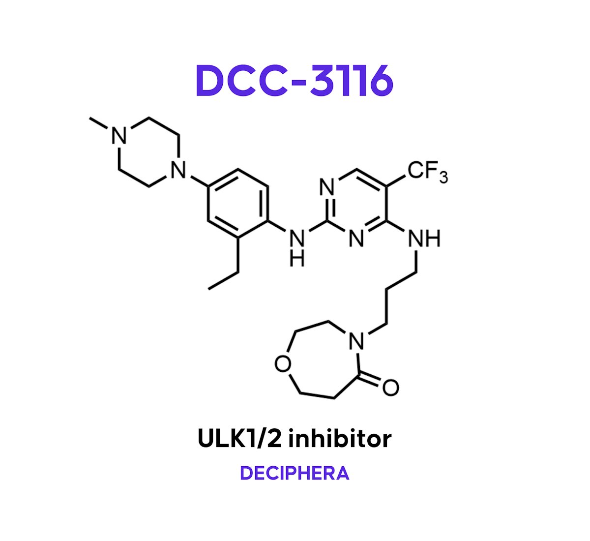 DCC-3116: Deciphera Unveils a First-in-Class Oral ULK1/2 Autophagy Inhibitor with Broad Combination Potential | drughunters.com/3wb8NrY

Deciphera’s ULK1/2 inhibitor, targeting autophagy, was disclosed at the ACS Spring 2024 meeting and included preclinical combination data.
