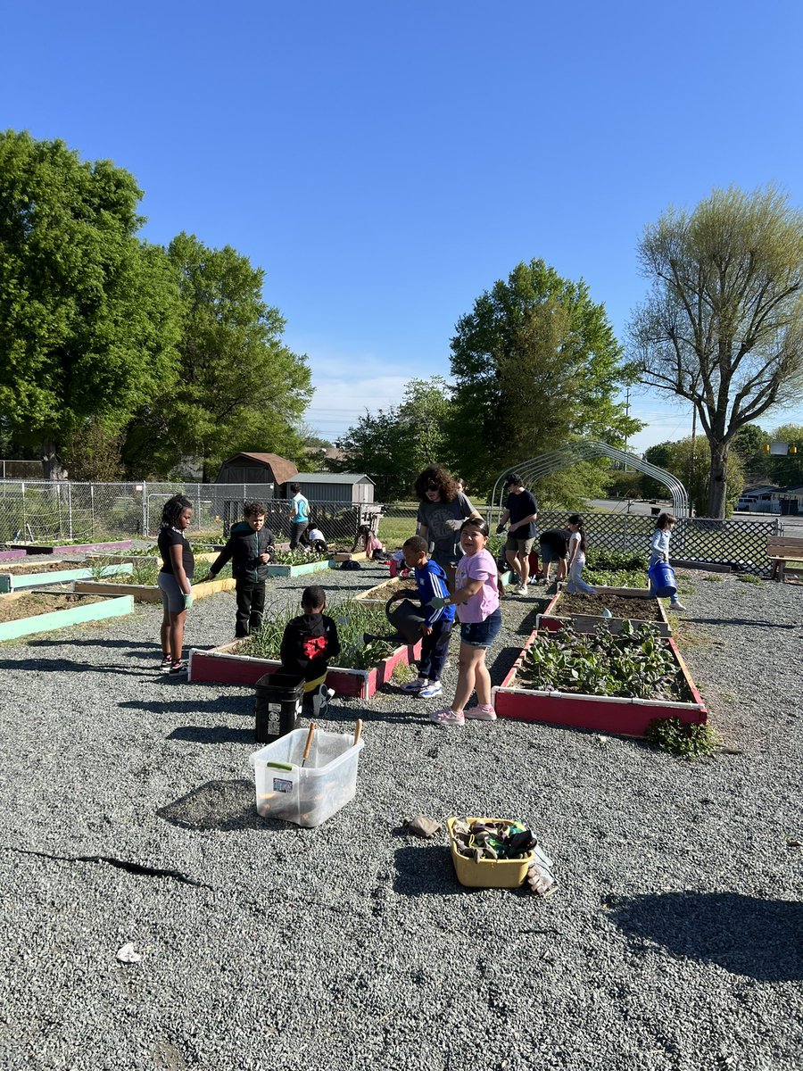 @wch33 @ABSSPublic @elonuniversity Including supporting school gardens! #ElonEd