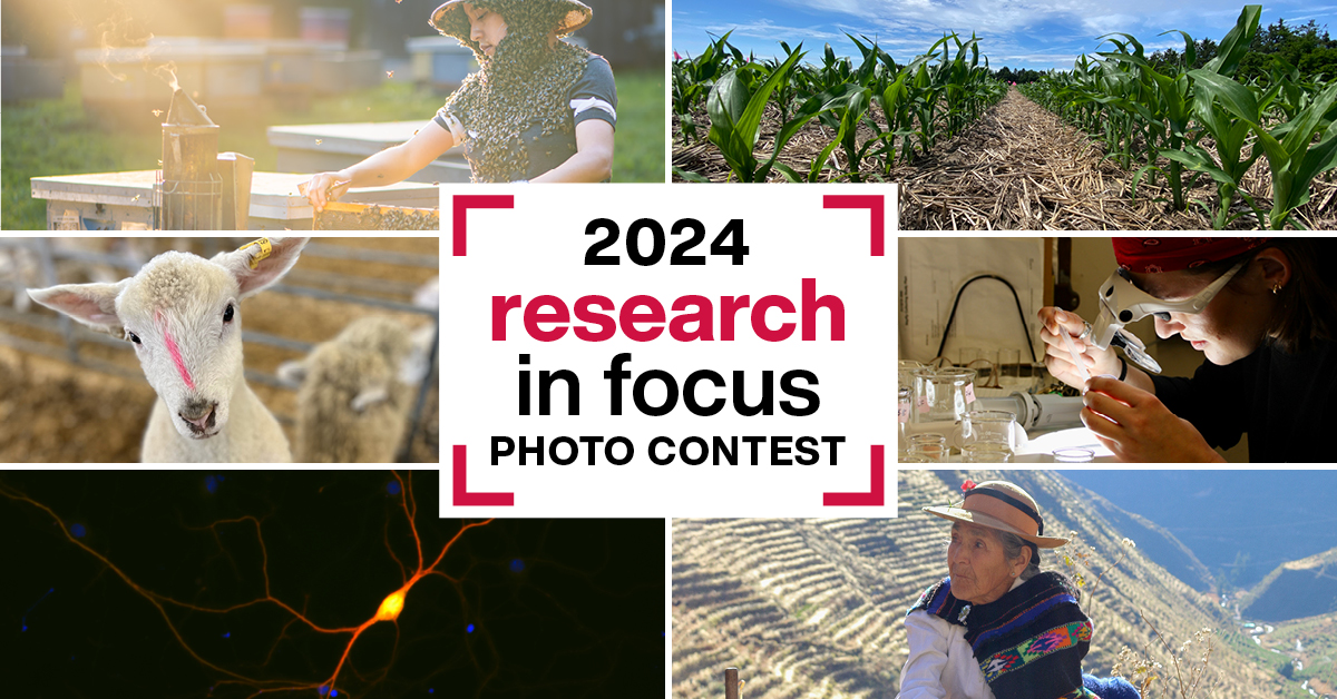 It's official! The annual Research in Focus photo contest is happening at #UofG! All faculty, staff, students and postdocs are welcome. Showcase how #UofGResearch has real-world impacts, and you could win one of 5 cash prizes! Details: uoguel.ph/pmgwb