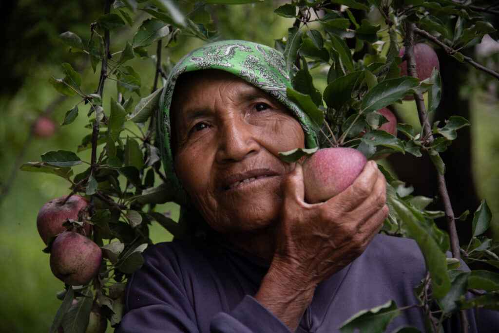 🍎🍏🍎🍏Desde hace casi treinta años, la comunidad indígena de Ciénega de Porochi se organizó para sembrar huertos de manzano y otros frutos. Ahora, tienen un proyecto que les permite trabajar sin salir de la comunidad. 🔗raichali.com/2024/04/26/cie… Texto y fotos @perecere ✍️📸
