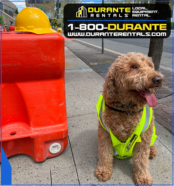 Happy Friday from Durante Rentals! 

As a local company deeply rooted in the communities we serve, we provide the equipment and solutions to meet all your project requirements. Call 1-800-DURANTE or visit duranterentals.com today! #duranterentals #localequipmentrental