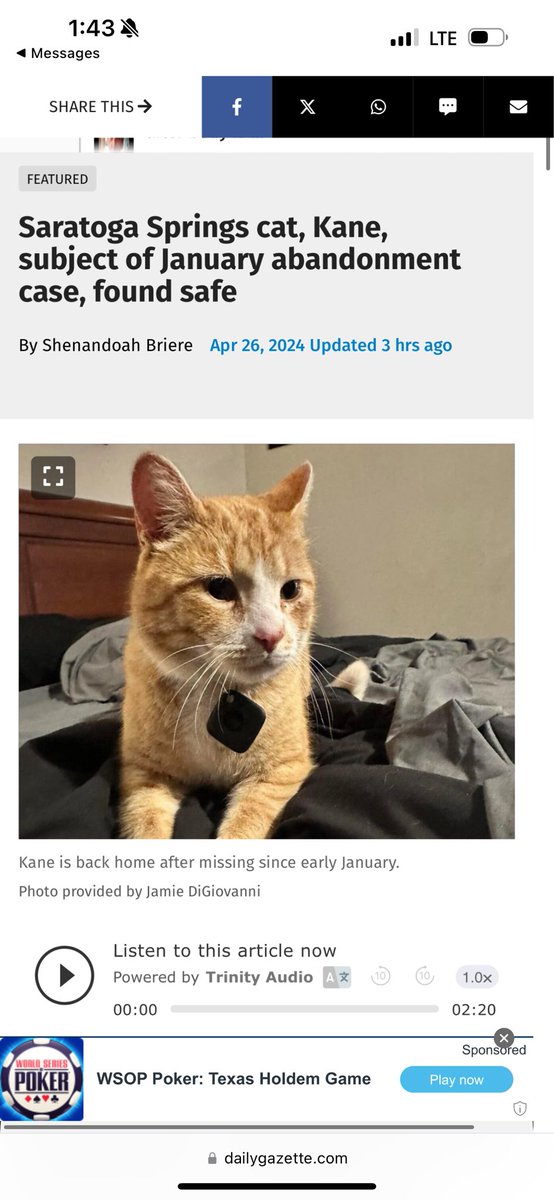 SO HAPPY Kane was found after being stolen and dumped by the owner of Spring Street Deli FOUR months ago. I will NEVER support Spring Street Deli again and you shouldn’t either!!!!