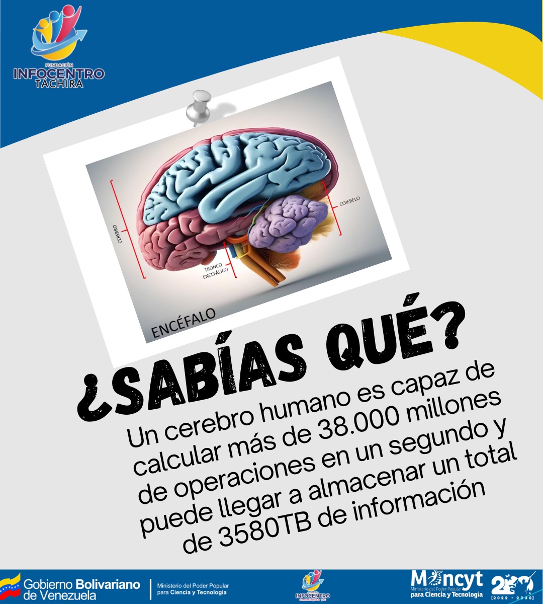 ¿Sabías Qué? Un cerebro humano es capaz de calcular más de 38.000 millones de operaciones en un segundo y puede llegar a almacenar un total de 3580TB de información. @Mincyt_VE @LaRosaInfoVE @InfocentroOce @BrigadasCHCH #SembrandoPatria