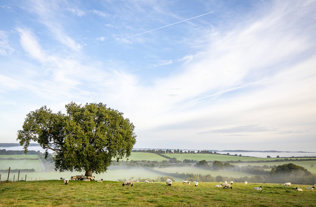 We can't wait to welcome pre-registered offer holders to our Offer Holders' Welcome Day tomorrow! Remember to follow the purple signs to the Hampshire Rural Business Centre - Check in will be inside the HRBC See you there 👋