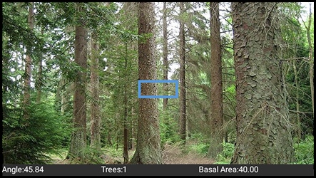 Timber cruising with the VDTS HMT-1 System provides new way to view your Ins and Outs. Using the integrated camera, you can quickly survey your plot to identify stems that fit. See full video: bit.ly/3p3id2L #Freeyourhands #AssistedReality #datacollection #handsfree...