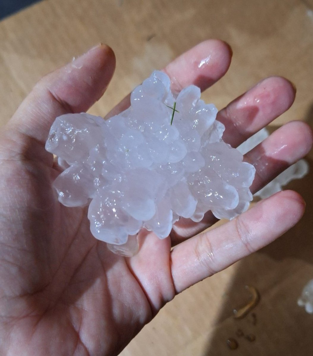 Amaneció tranquilo el pueblo!!! 😱😱😱😱😱
Yo no sé, pero nunca había visto éste tipo de granizo! Encima enorme! Varios destrozos, por suerte fue poco rato 🤦‍♀️🤦‍♀️🤦‍♀️
Pero bueno... Hay que seguir adelante! 
Se me cuidan!! 🤗🥰
#HayOrdenDeNoAflojar