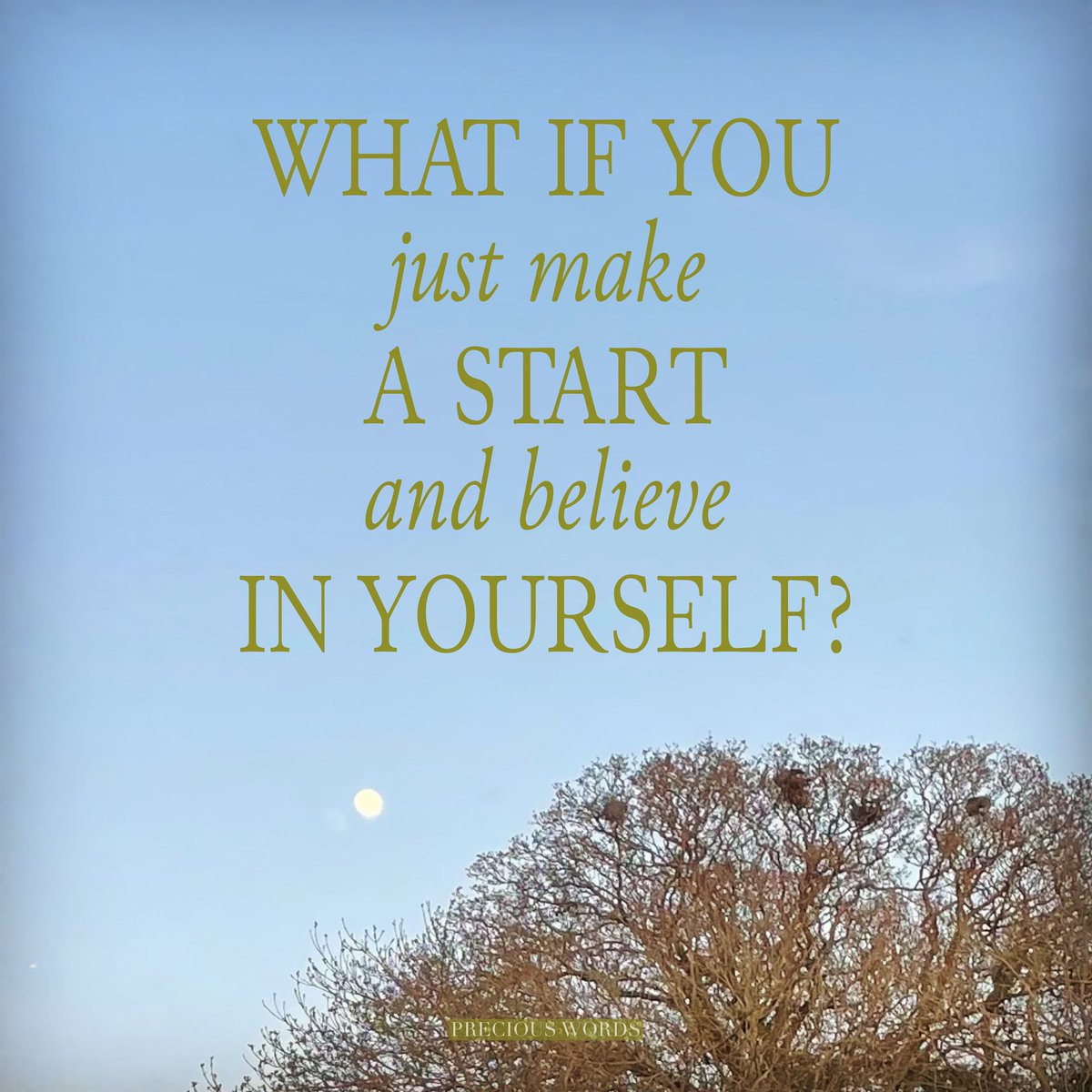 What if you just make a start, believe in yourself?
#whatif #makeastart #believe #believeinyourself #preciouswordstoliveby #preciouswords