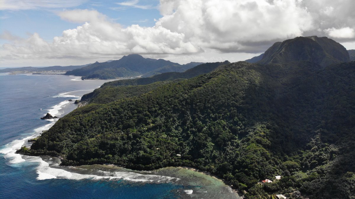 Happy Arbor Day from beautiful American Samoa! (photo by American Samoa congressional office staff.)