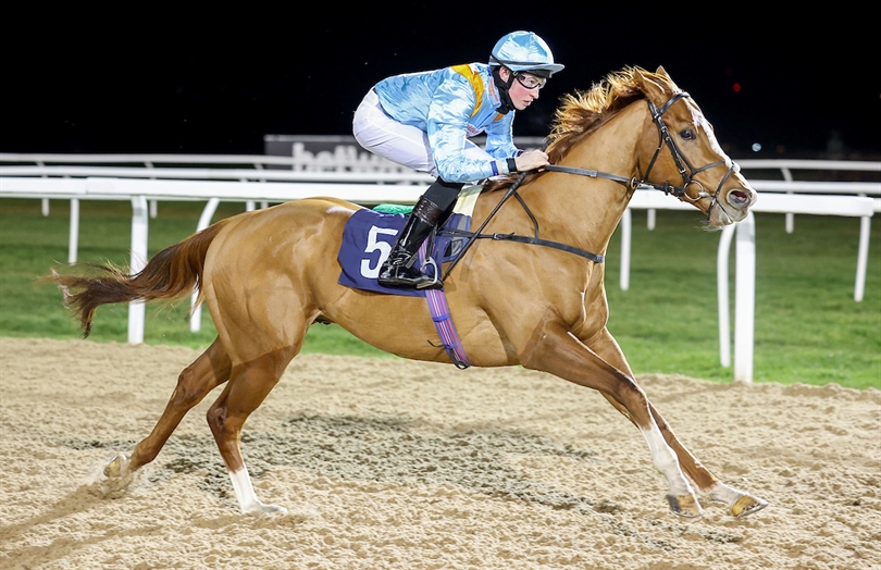 1️⃣ We have one runner today at @Southwell_Races.

How Impressive (5:25), who is owned by @MprUpdates, will race from stall 1 with Brandon Wilkie riding.

@Coral @HM3Legal @nafuk #TeamMHS