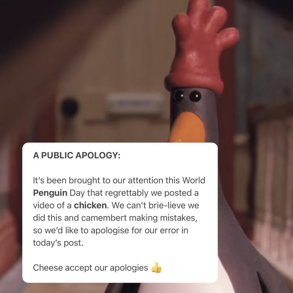 Aardman has issued an apology after posting a photo of a chicken on World Penguin Day. (via: @jeeveswilliams)