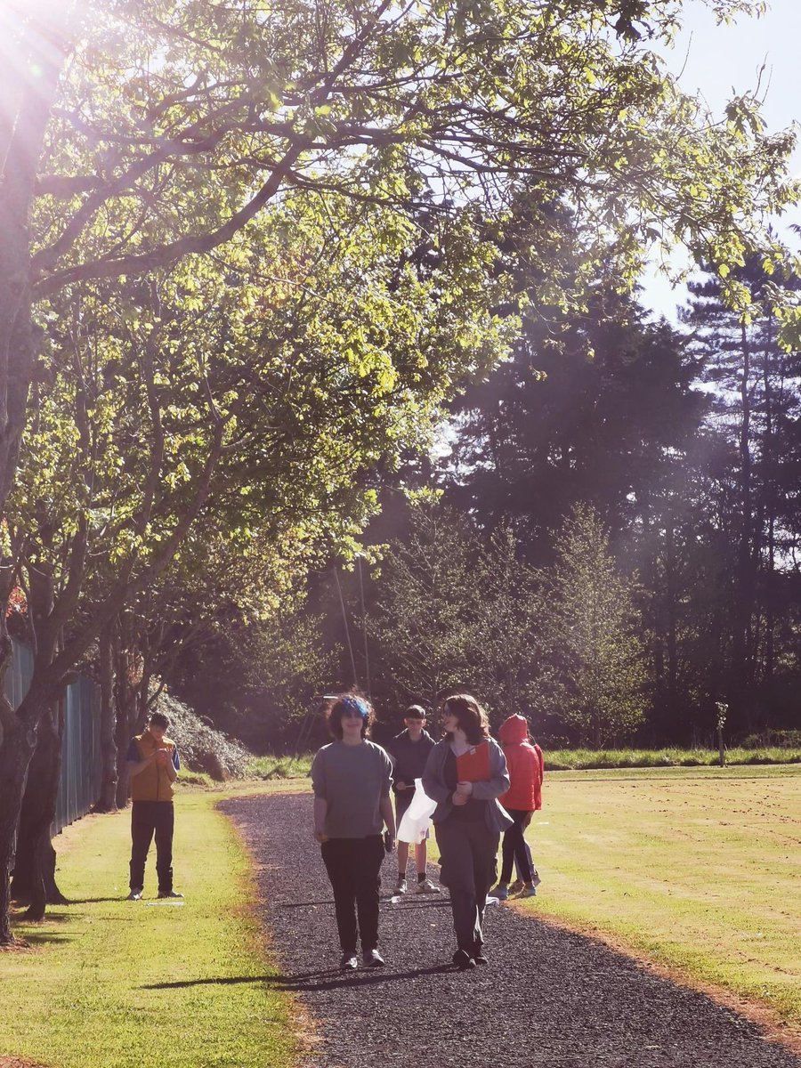 2nd year Science students out enjoying the good weather this morning to complete their habitat study! Some interesting insects discovered including a jumping zebra spider! Great enthusiasm from this bunch - well done all 🥼🕷️🌸🌺🌼🌷🪻🌿🌱🌳🍀