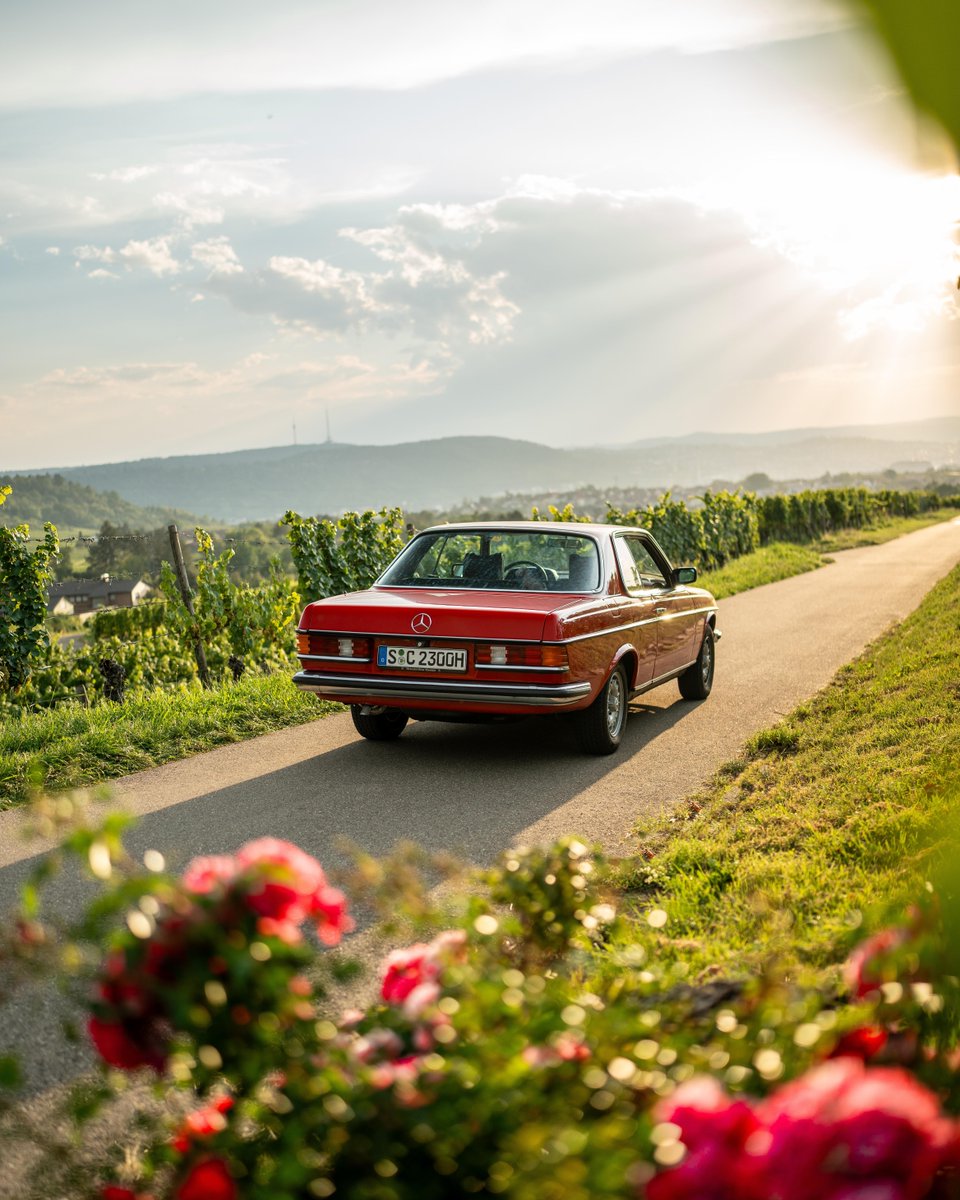 Fahrt mit dem #C123 als ultimativen Road Trip-Begleiter durch beeindruckende Landschaften. 📷 nikofrielitz (IG) für #MBcreator #MercedesBenz