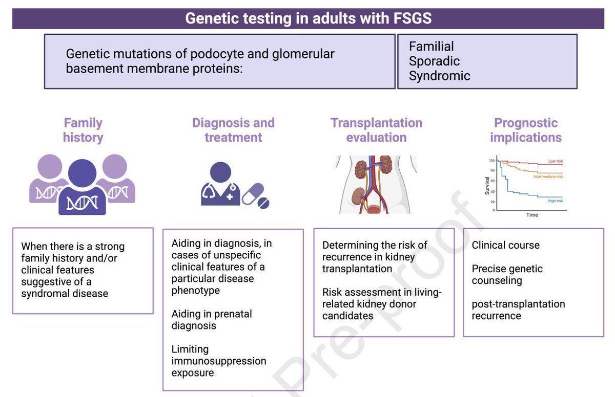 A Review of Focal Segmental Glomerulosclerosis Classification With a Focus on Genetic Associations buff.ly/3Uf3Sym