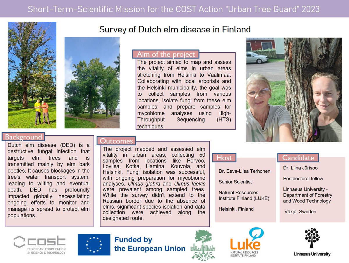 🌳🔍 Our new STSM report focuses on the Survey of Dutch elm disease in Finland. Discover insights on disease prevalence, impacts on elm populations, and conservation strategies.

#UrbanForest
#DutchElmDisease
#TreeHealth