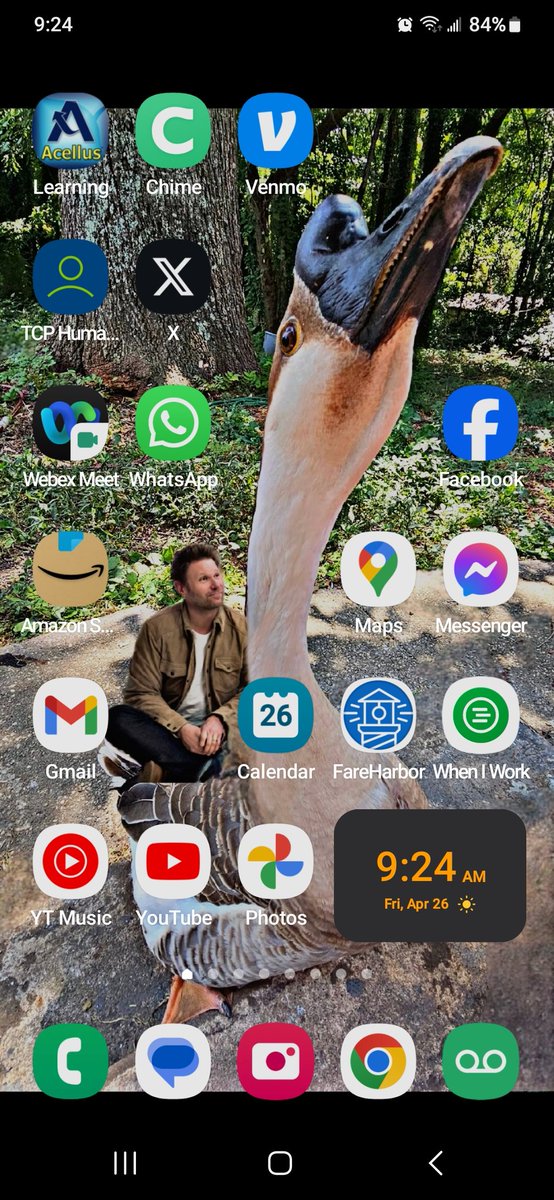 The perfect phone wallpaper doesn't exis.........