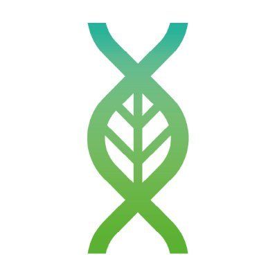 Postdoc Researcher at Center for Research in Agricultural Genomics @cragenomica – The plant peptidome: a new layer on plant regulatory mechanisms buff.ly/3wd03l5 via @epsoeurope #PlantSciJobs