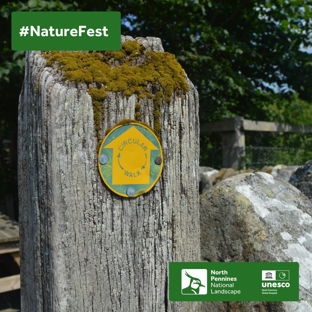 Join us for a guided walk through a historic landscape starting at Westgate, on 25 May will begin at 10.30am and finish at approximately 12.30pm.
northpennines.org.uk/.../saturday-s…
This event is part of the North Pennines NatureFest  NorthPenninesNatureFest.org.uk #NorthPenninesNatureFest24.