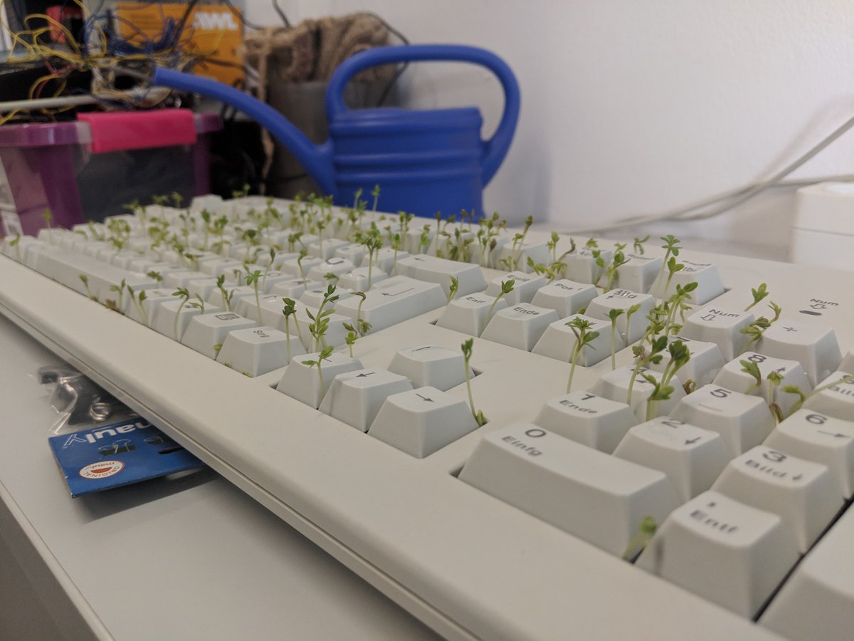 Prof. Anna tweet media