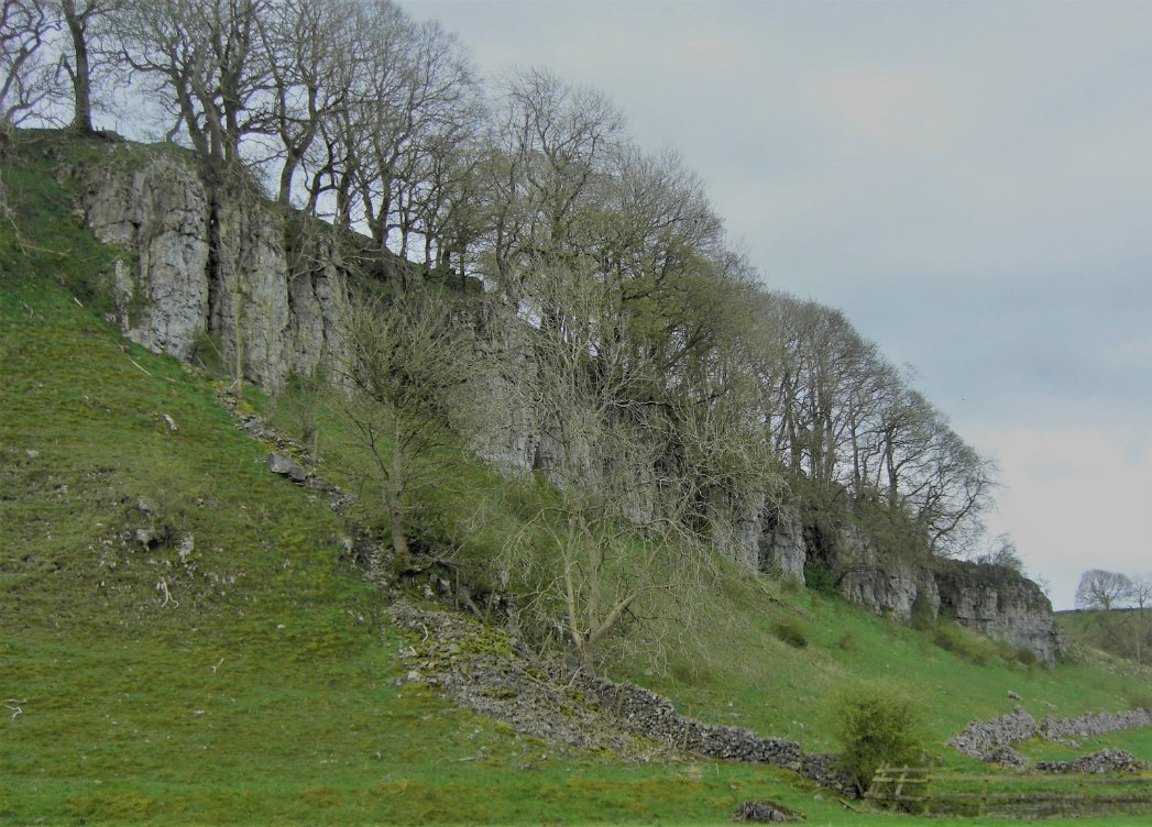 #Trees on the cliff edge. Hay Dale in the #peakdistrict, #derbyshire