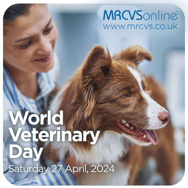 Today marks World Veterinary Day. We appreciate the incredible work that veterinary teams do globally to care for pets and wildlife #WorldVeterinaryDay #veterinary #vetsurgeon #vetnurse