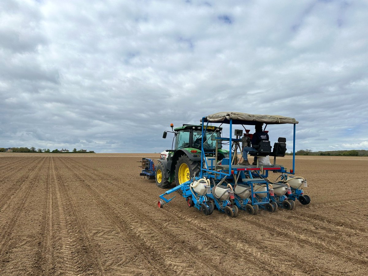 NIAB's trials teams from both Kent and Cambridge drilling the Descriptive List (DL) Maize trials in Kent this week. Great effort from both teams to get the drilling done!