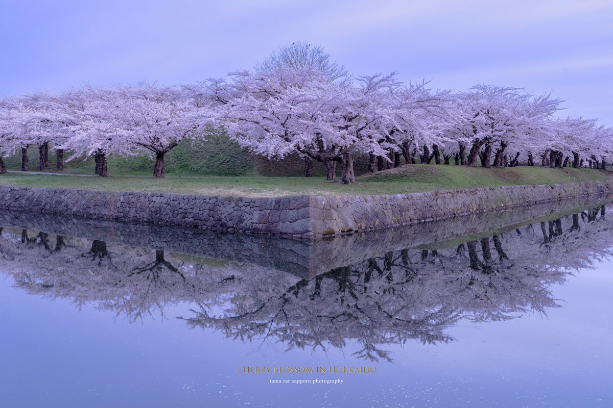 🌸Cherry Blossoms-SAKURA-2021🌸
明日土曜日はお仕事。はやめに切上げて桜を見に行こう。
#桜 #cherryblossoms #SAKURA
#ファインダー越しの私の世界
#キリトリセカイ #SonyAlpha
#a7III #sony #これソニーで撮りました
#東京カメラ部
#Photograph #Photography