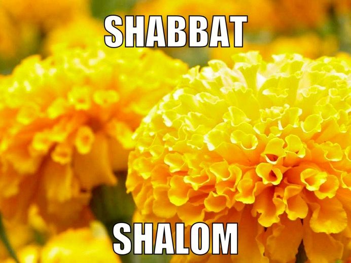 Shabbat Namaste! #Bringthemback