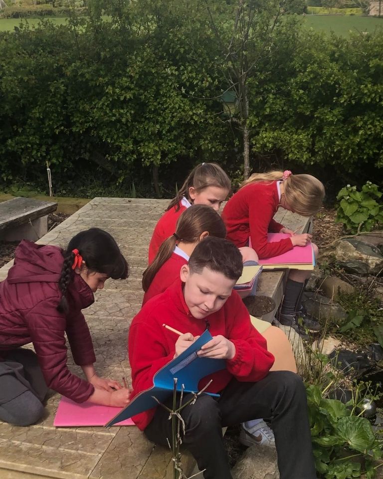 Foxton Primary tweet media