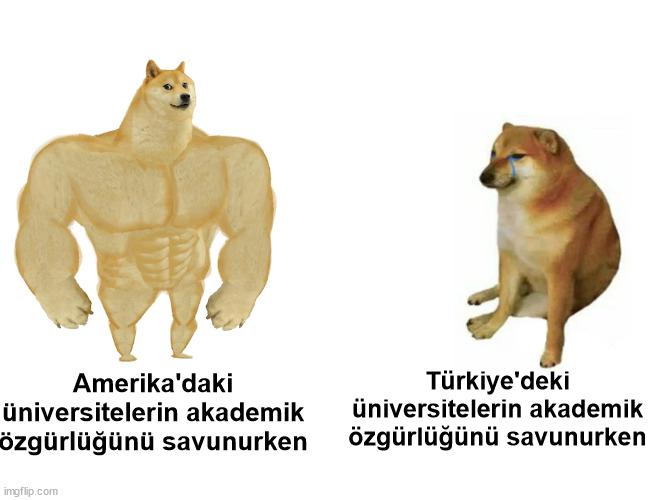 Bazı üniversiteler: