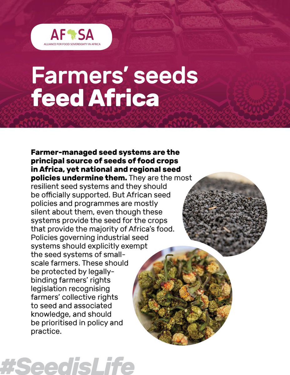'Policies governing industrial seed systems should explicitly exempt the seed systems of small-scale farmers' #SeedIsLife #MaSemenceMaVie #InternationalSeedsDay