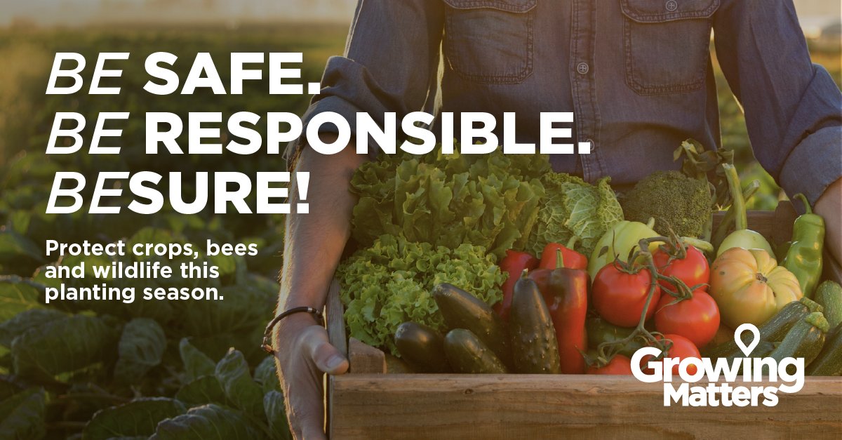 If you’re a #grower or #applicator looking to improve your stewardship practices, you’ve come to the right place! Visit the Growing Matters website for this year’s tip sheets to help ensure you use pest management products safely: bit.ly/3TzjAUP #BeSure!